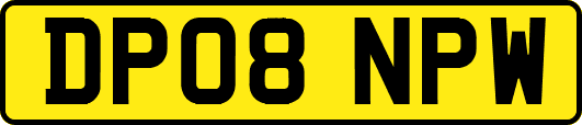 DP08NPW