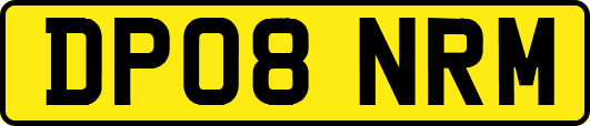 DP08NRM