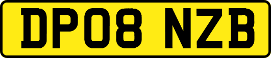 DP08NZB