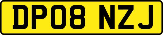 DP08NZJ
