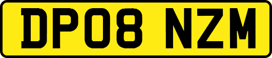 DP08NZM