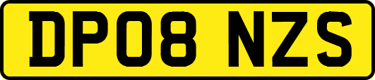 DP08NZS