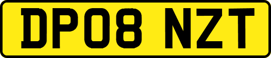 DP08NZT