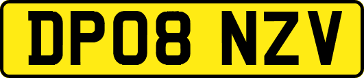 DP08NZV