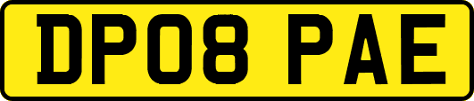 DP08PAE