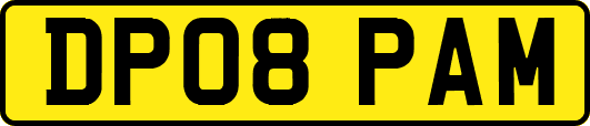 DP08PAM
