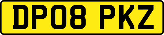 DP08PKZ