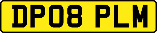 DP08PLM