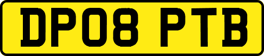 DP08PTB