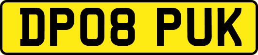 DP08PUK