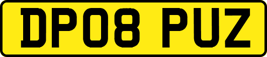 DP08PUZ