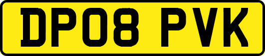 DP08PVK