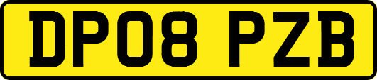 DP08PZB