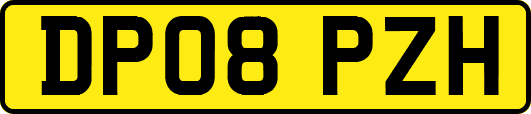DP08PZH