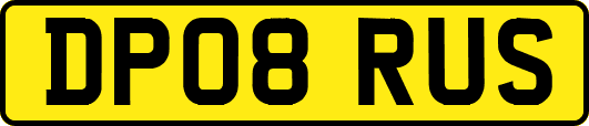 DP08RUS