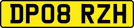 DP08RZH
