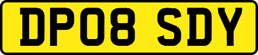 DP08SDY