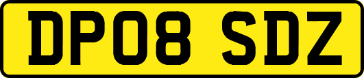 DP08SDZ