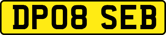 DP08SEB