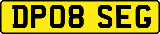 DP08SEG