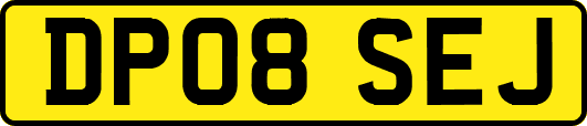 DP08SEJ
