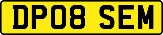 DP08SEM