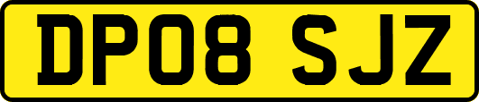 DP08SJZ