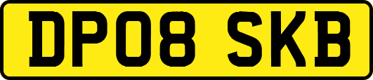 DP08SKB