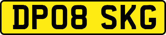 DP08SKG