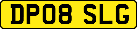 DP08SLG