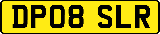 DP08SLR