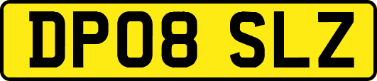 DP08SLZ