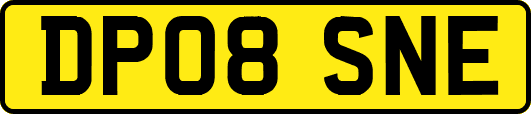 DP08SNE