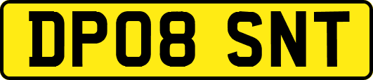DP08SNT