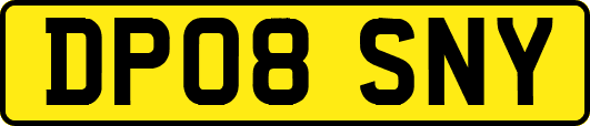 DP08SNY