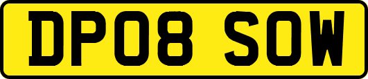 DP08SOW