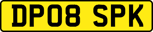 DP08SPK