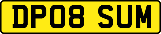 DP08SUM