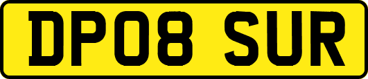 DP08SUR