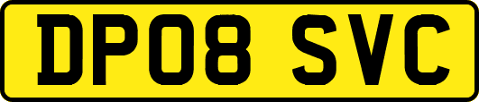 DP08SVC