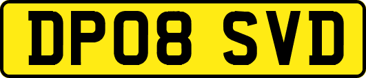DP08SVD