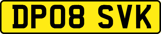 DP08SVK