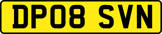 DP08SVN