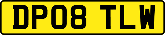 DP08TLW