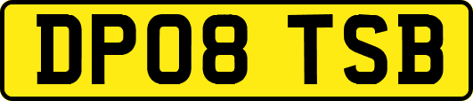 DP08TSB