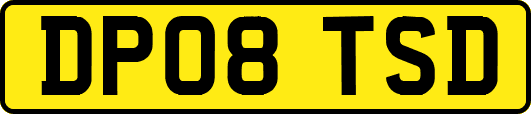 DP08TSD