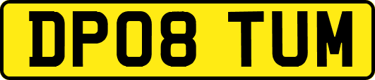DP08TUM