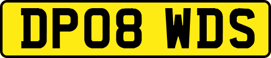 DP08WDS