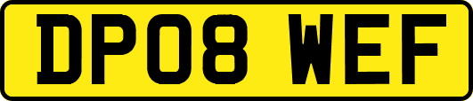 DP08WEF