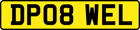 DP08WEL